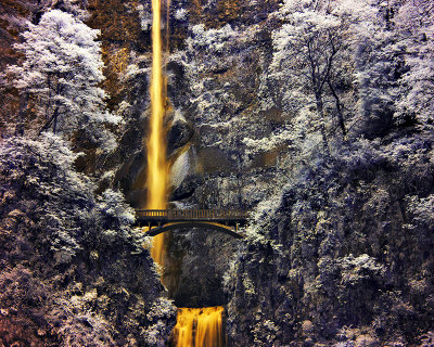 Multnomah Falls in IR