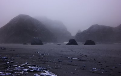 Sea Stacks in the Mist