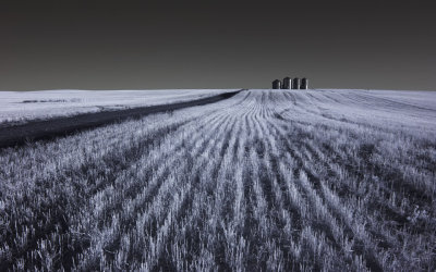 Silos in wheat field