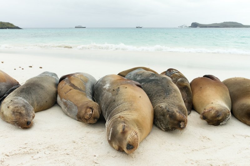 Galapagos1-23.jpg