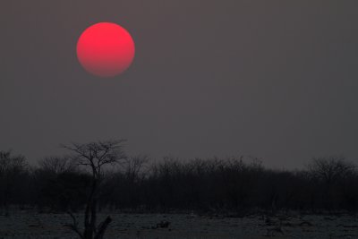 Sunset in Etosha