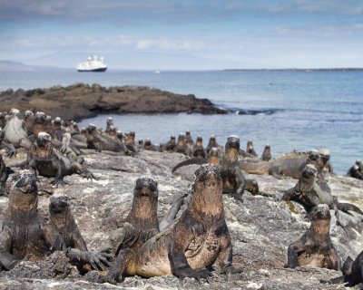 Galapagos1-13.jpg