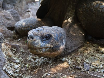 Galapagos1-78.jpg