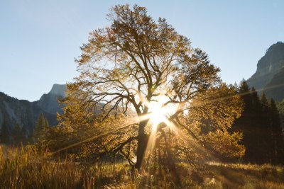 Yosemite-2.jpg