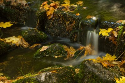 Yosemite-15.jpg