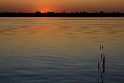 OkavangoSunset-0249SM.jpg