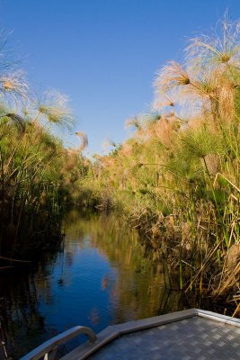 SM-Okavango-0215.jpg