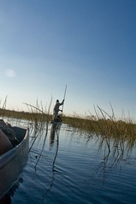 SM-Okavango-0278.jpg