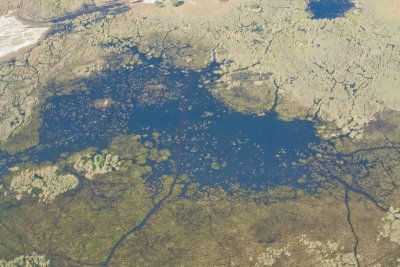 SM-Okavango-0340.jpg