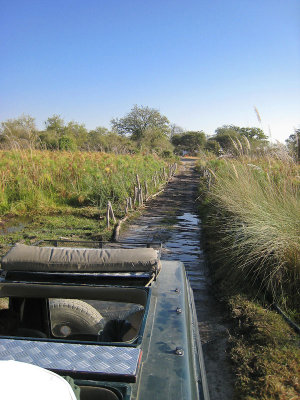 SM-Okavango-2077.jpg