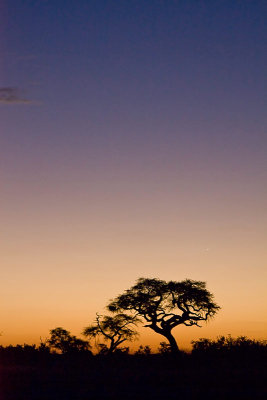 Twilight-0503SM.jpg