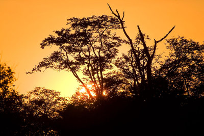 okavango_landscapes