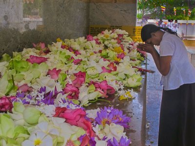 SriLanka-0218.jpg