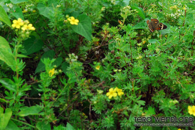 g1/77/273377/3/127787584.xMPz5ZMG.jpg