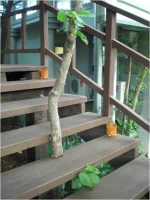 Built around nature...