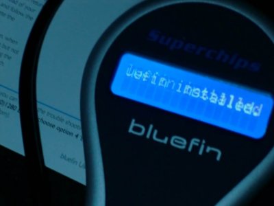 Bluefin - Jan 2011