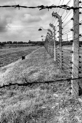 Fence.jpg