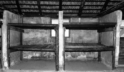 Hut_2.jpg
