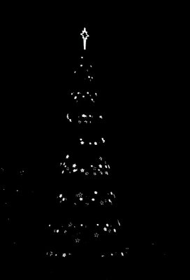 000030-adj.JPG