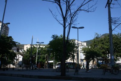 DVD - 15 304.JPG