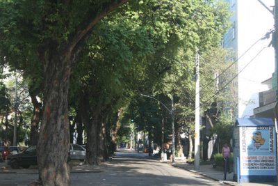 DVD - 15 306.JPG