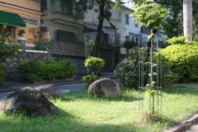 DVD - 15 340.JPG