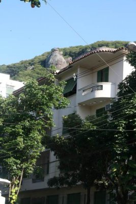 DVD - 15 355.JPG