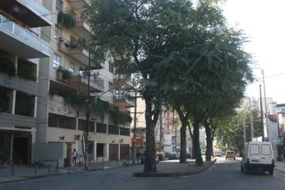 DVD - 15 403.JPG