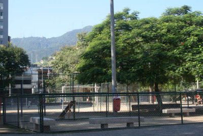DVD - 15 416.JPG