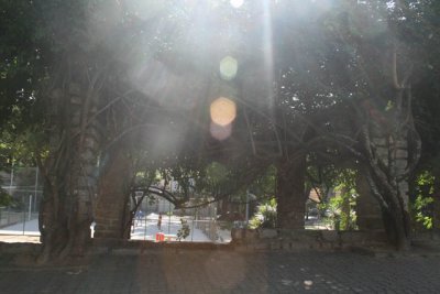 DVD - 15 418.JPG