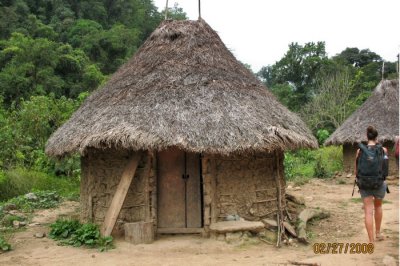 thatched hut