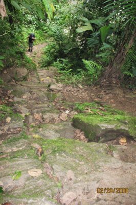 1900 steps up to the Lost City