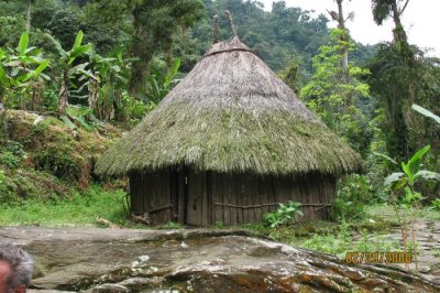 thatched hut