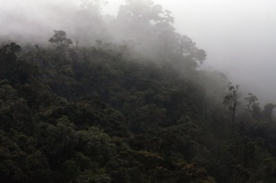 ValleDeCocora23.jpg