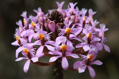 ValleDeCocora29.jpg