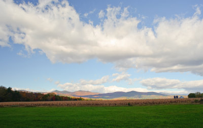 g1/77/360177/3/129395011.YnnBYhY1.jpg