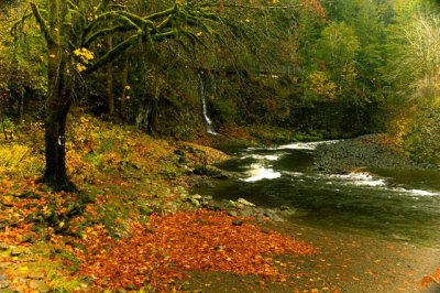 Autumn Along The Water Fall