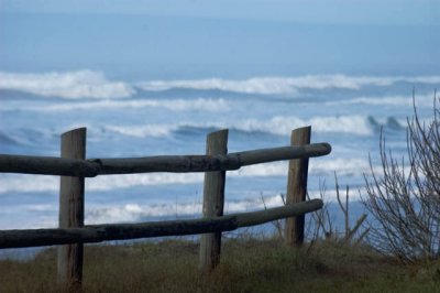 Along The Fence