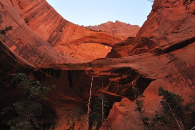 Zion