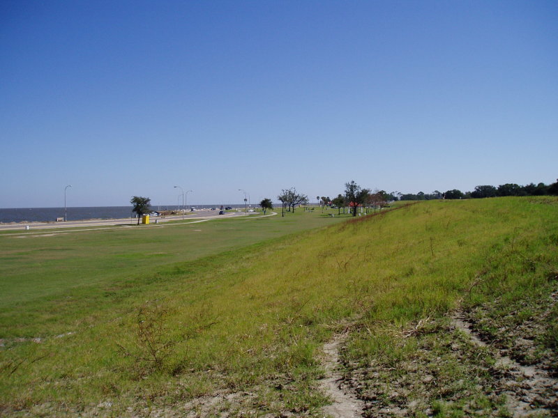 P1010292.JPG