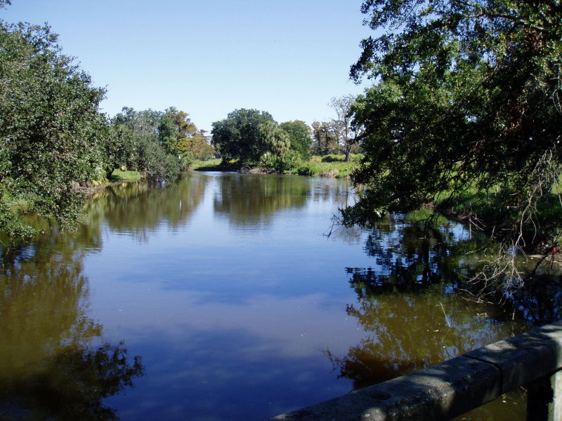 City Park