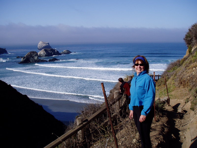 Sand dollar Beach