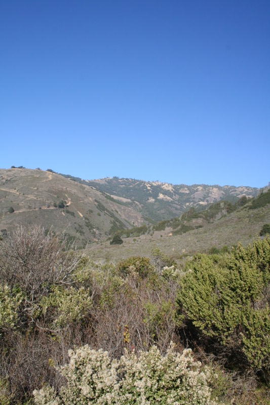 Prewitt Ridge