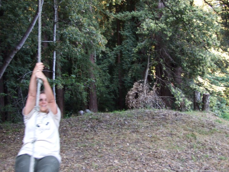 Karol swings