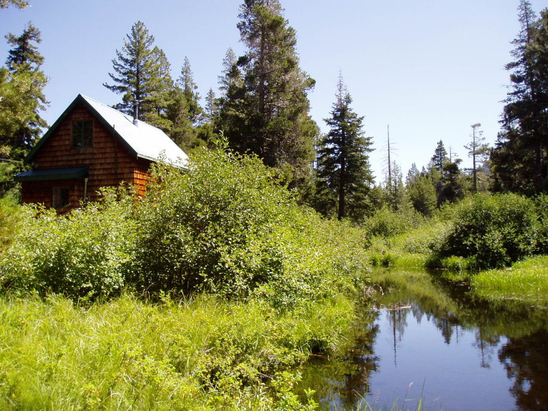 our next cabin - glenn alpine springs