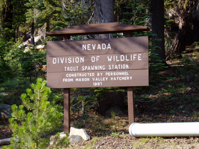 passing thru on our way to the flume trail