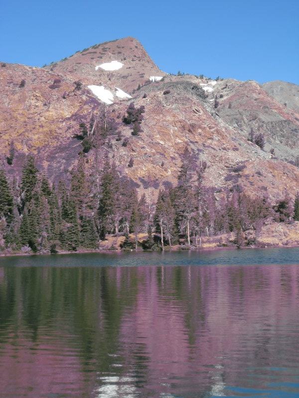 Susie Lake
