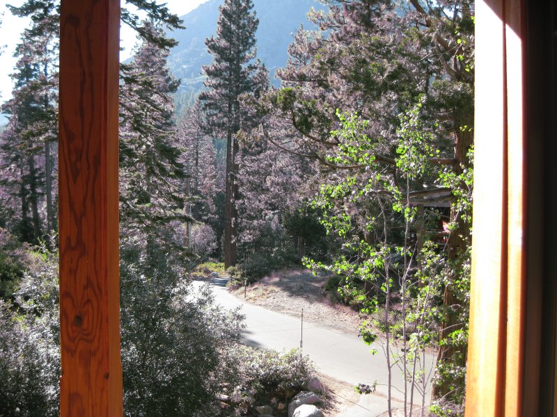 Cabin