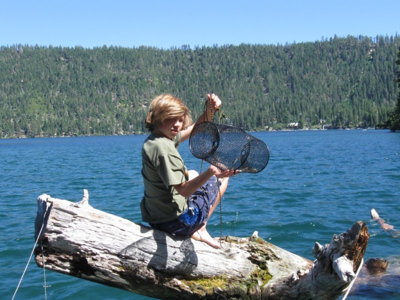 Minnow trap