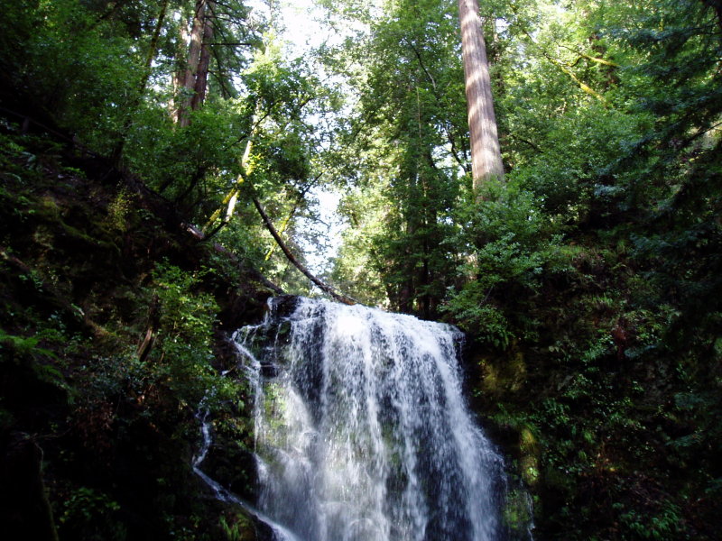 Berry Creek Falls - Big Basin State Park
